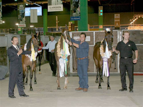 Exposicion Nacional 2006 22