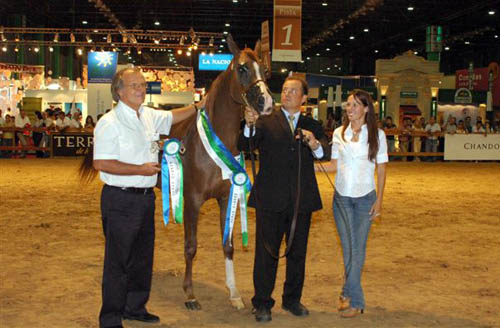 Exposicion Nacional 2006 26