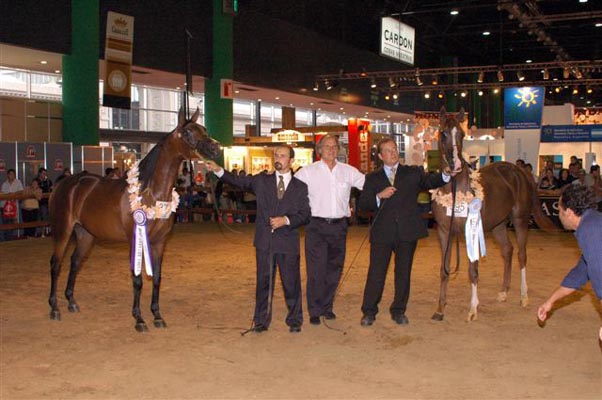 Exposicion Nacional 2006 4