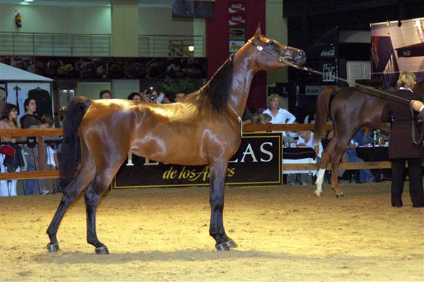 Exposicion Nacional 2006 5