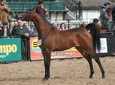 HCE Magbelle 1
