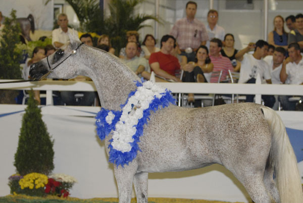 Exposicion Nacional Brasilera 2